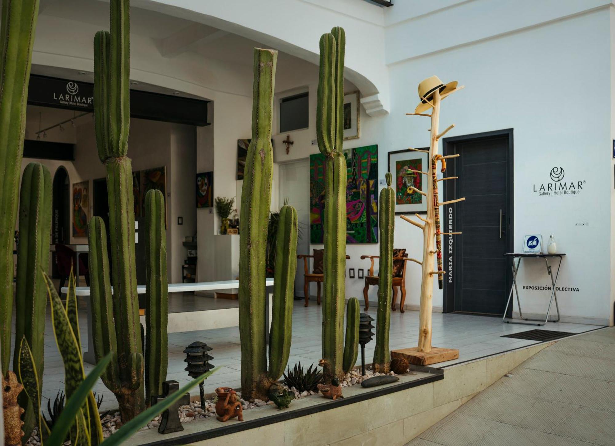 Larimar Gallery Y Hotel Boutique Oaxaca Ngoại thất bức ảnh